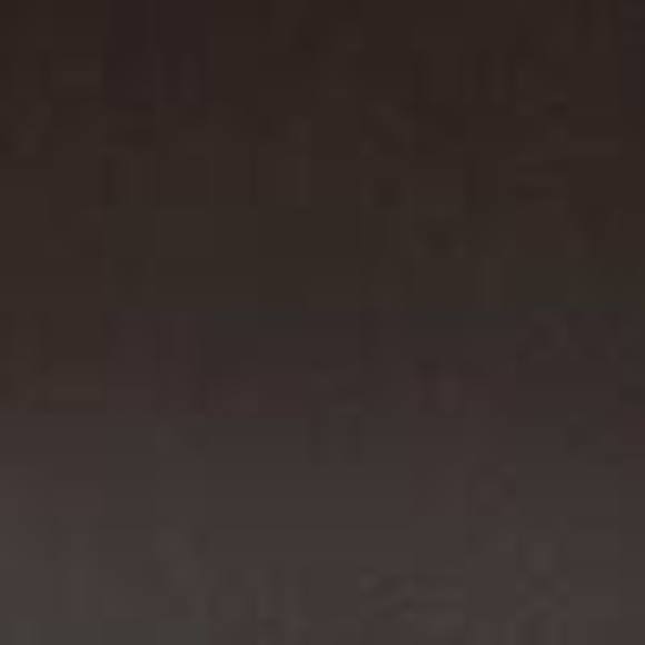 NWT Coach Outlet Mott Driver - Picture 2 of 4